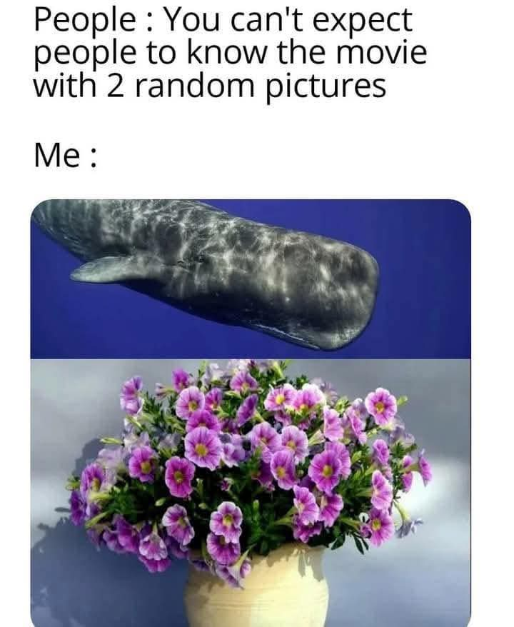 FB IMG 1755743008194