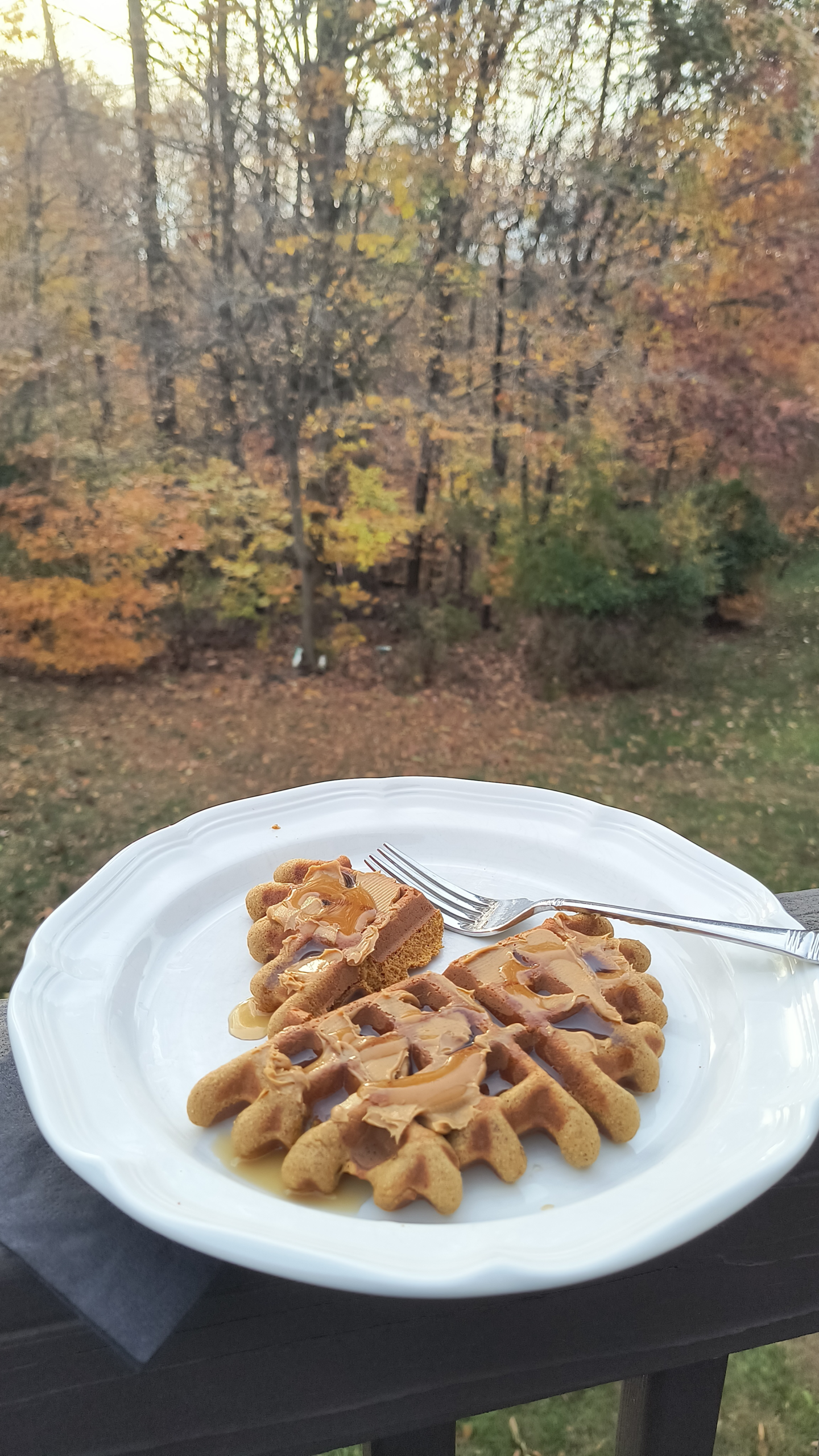 Gluten Free Pumpkin Waffles