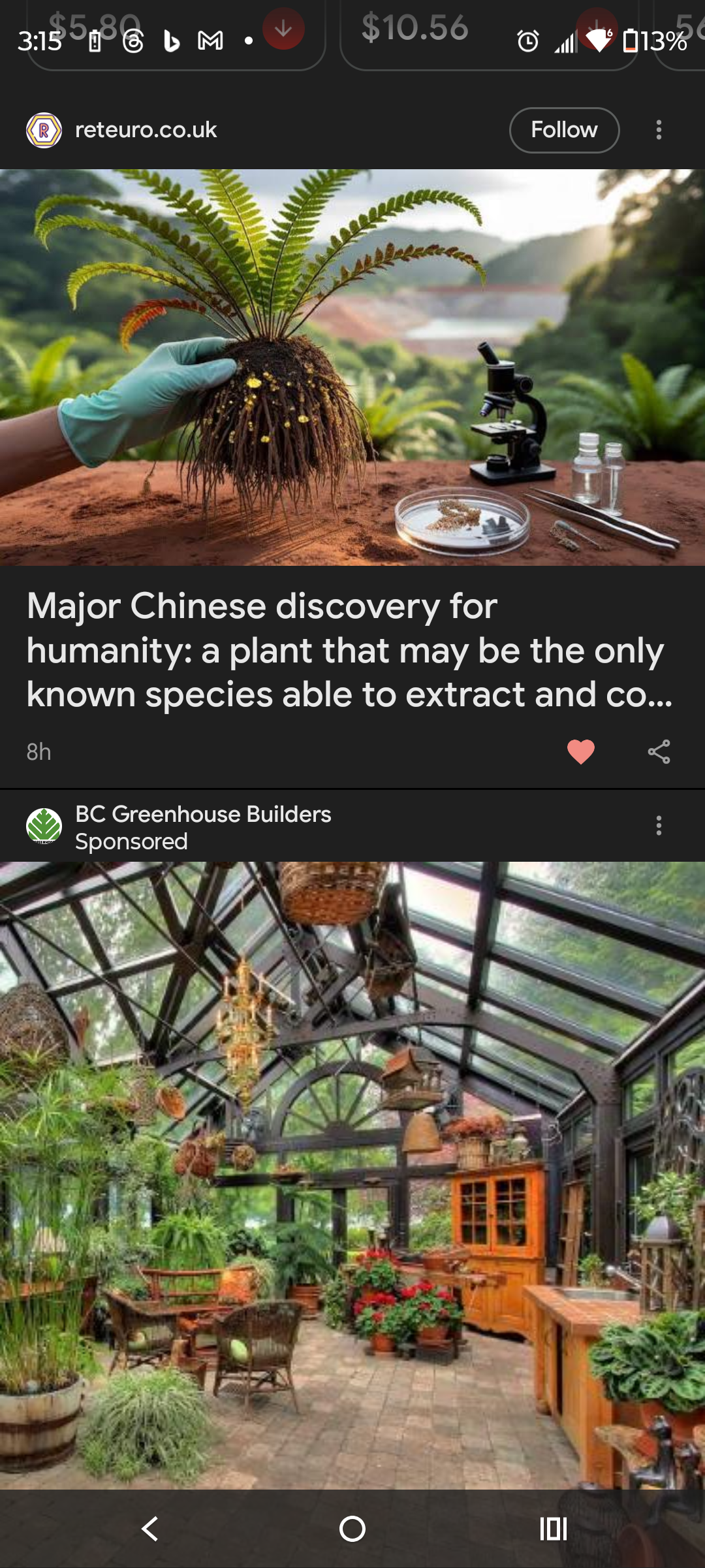 Green Celebrity Network