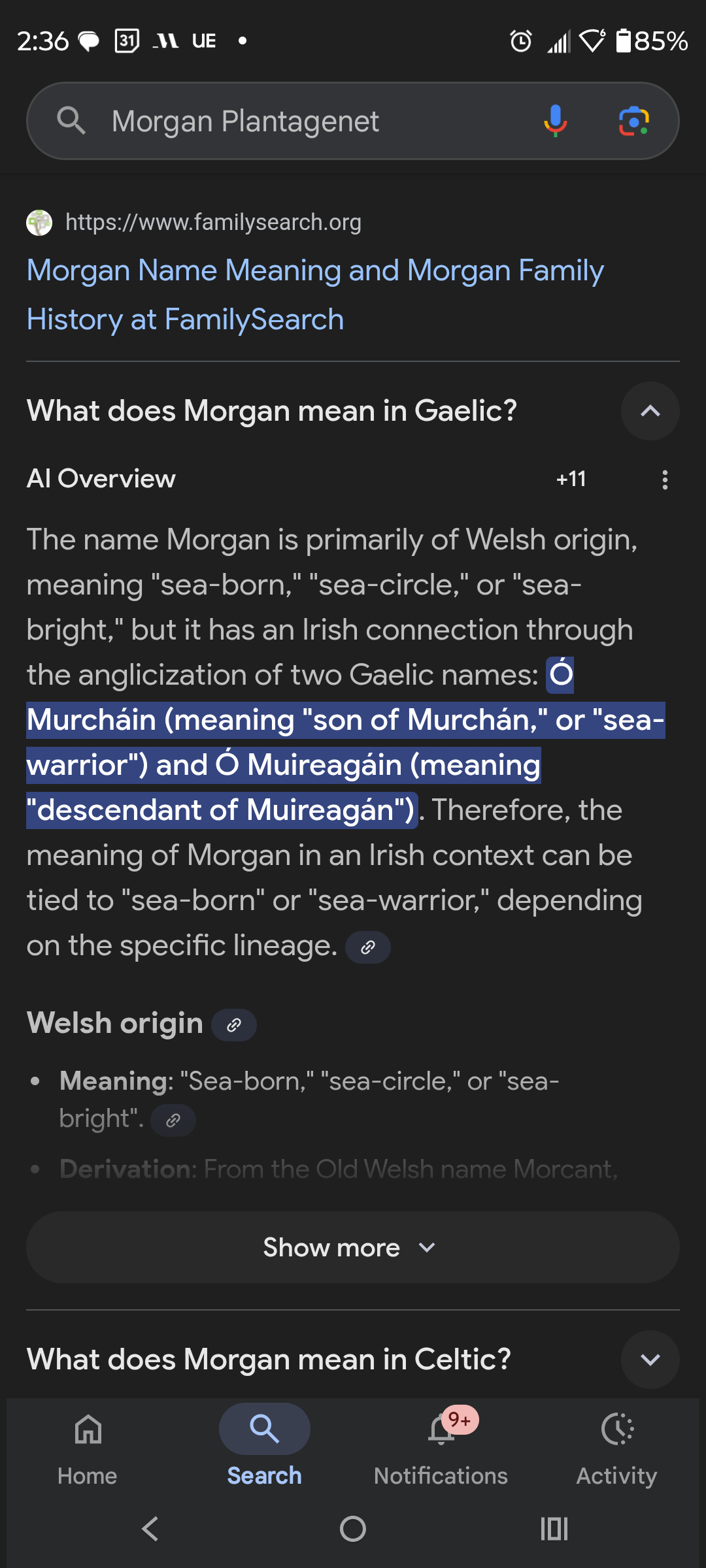 What Does The Name Morgan Mean Today?