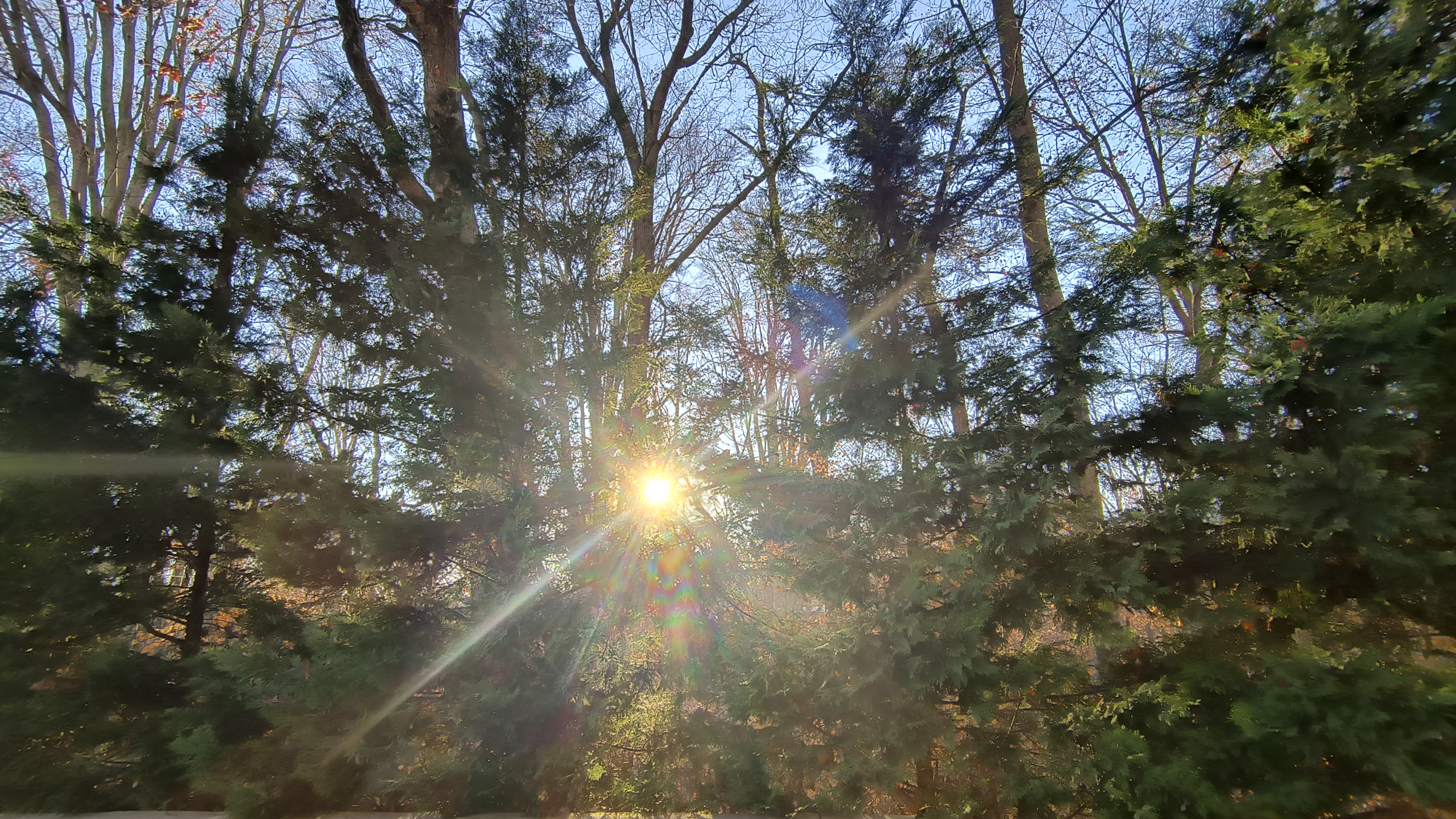 The First Line Of My Book