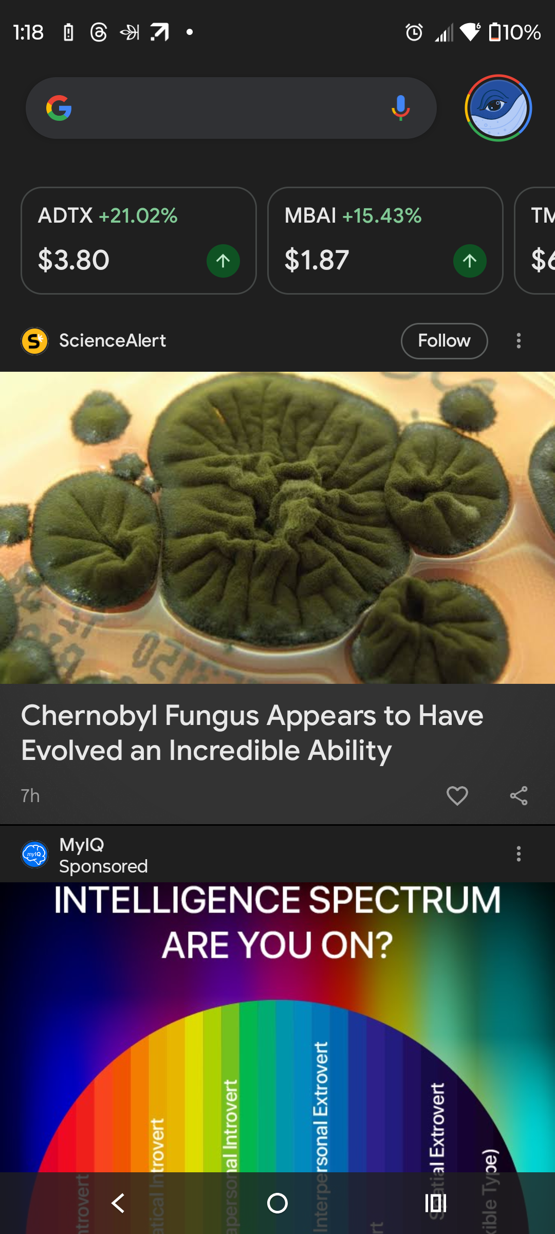 Fungus Among Us