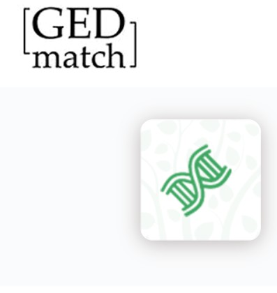 gedmatch kit CN8047146 is Kristi Lami