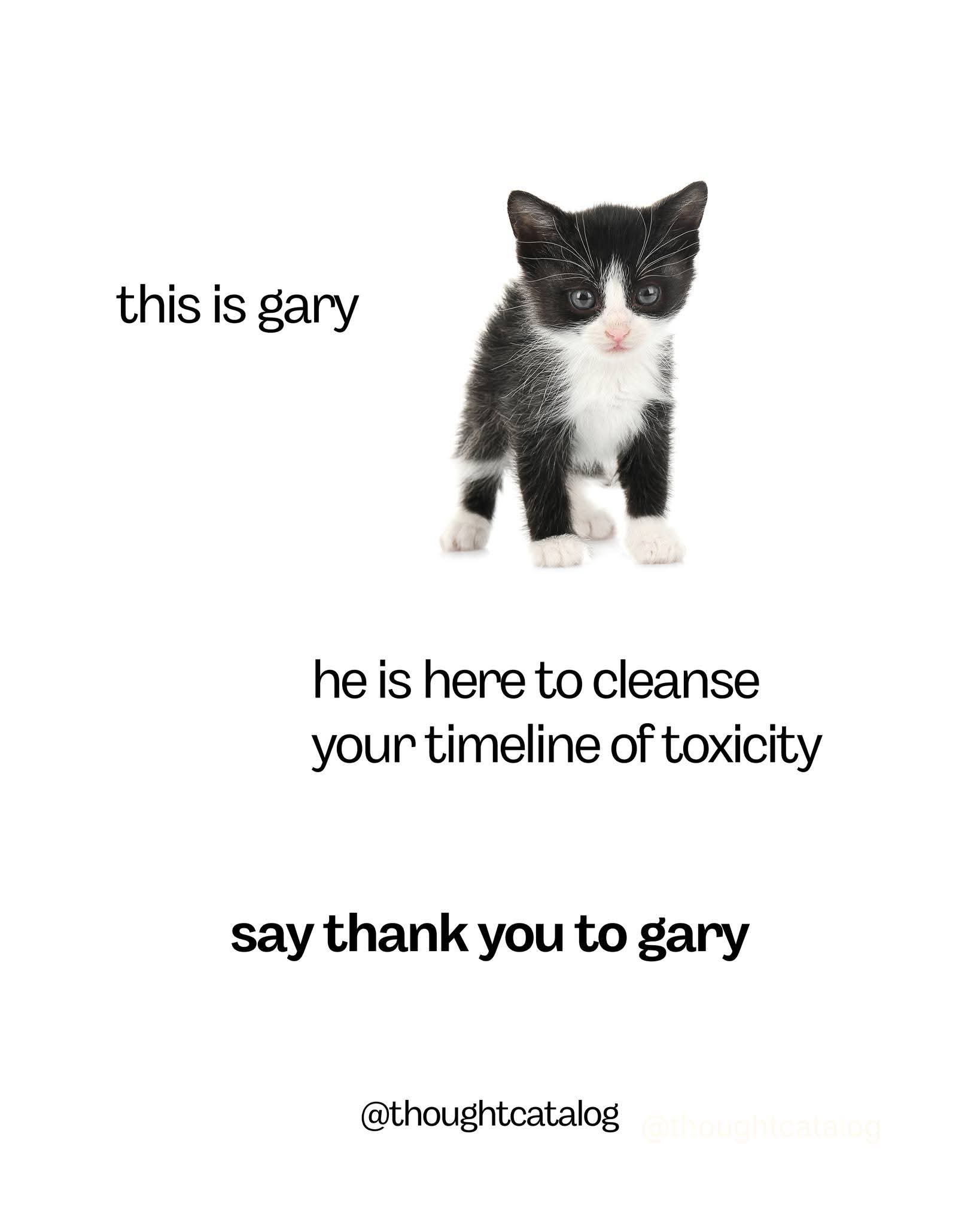 Thank You Gary
