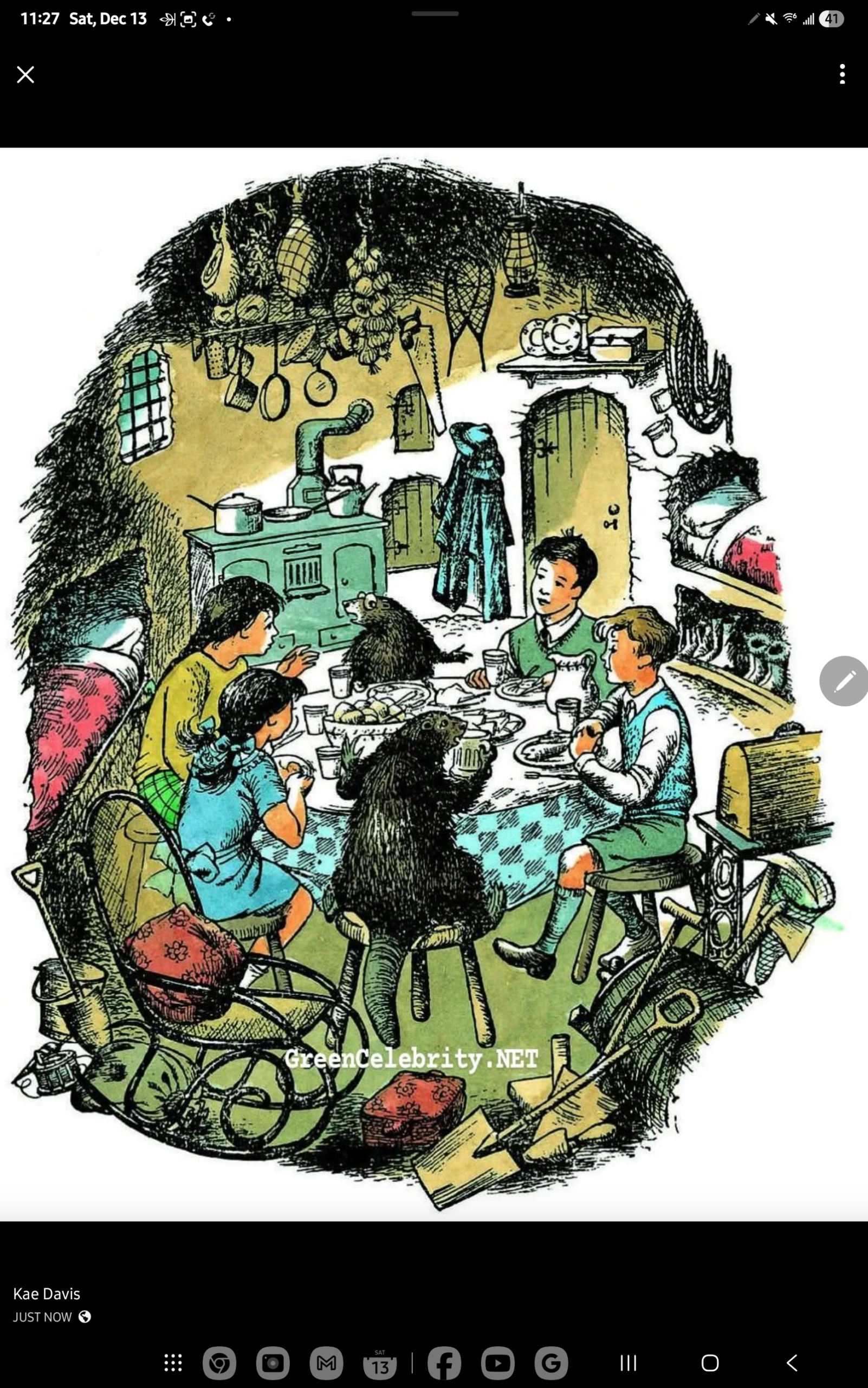 GreenCelebrity.NET Dishy Network replaces UNAUTHORIZED OWN