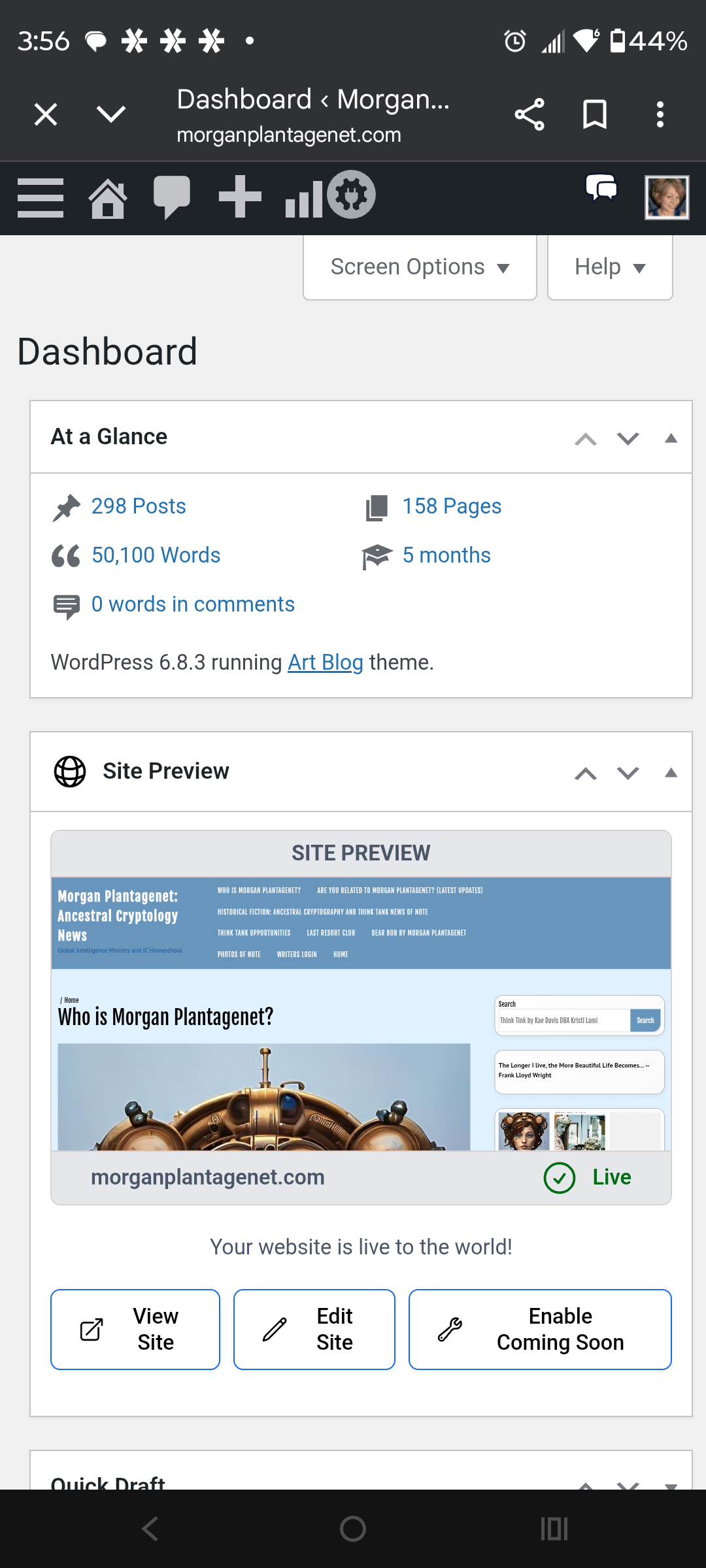 NaNoWriMo Finish Line